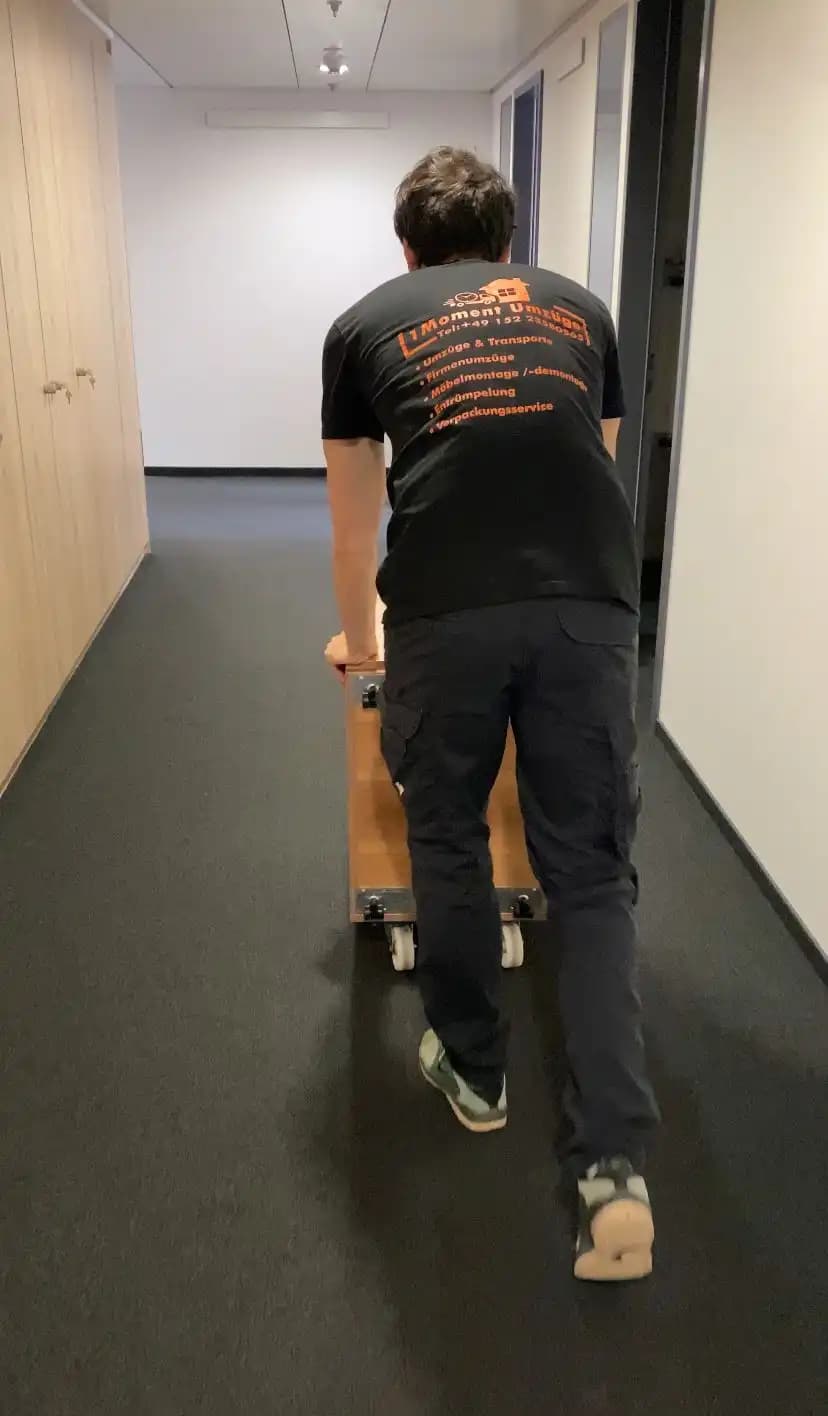 Umzug in Frankfurt am Main Umzugsunternehmen Frankfurt am Main – professioneller Umzugsservice